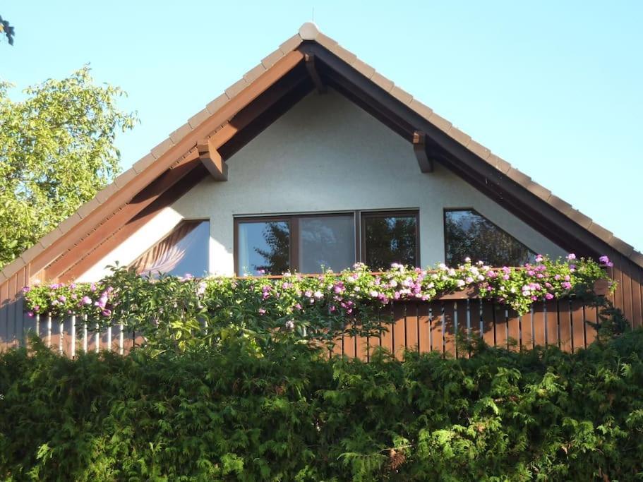Ferienwohnung Am Stadtrand Von Berlin Neu Buch Kültér fotó